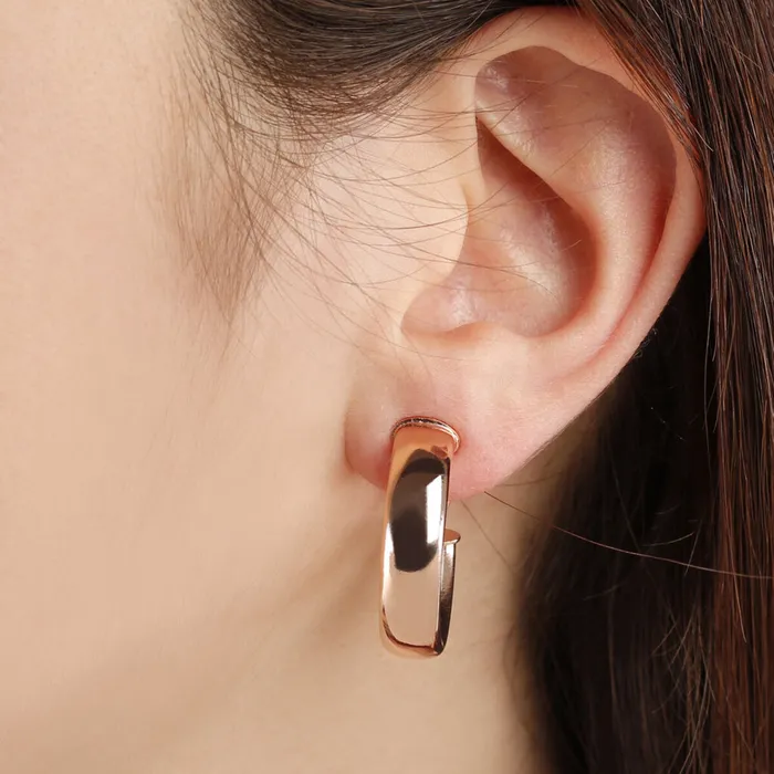 Earrings Orecchini a Cerchio Piccoli Spessi Bronzallure