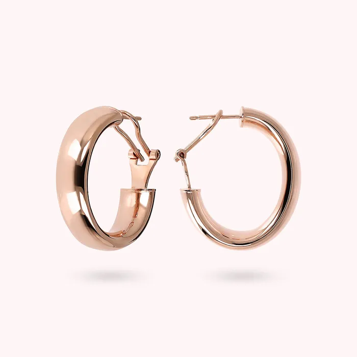 Earrings Orecchini a Cerchio Piccoli Spessi Bronzallure