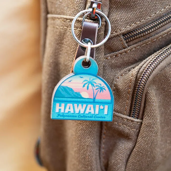 GREATMOUNTAINWE Hawaiian Sherbet Sky Wooden KeyringFob Earrings