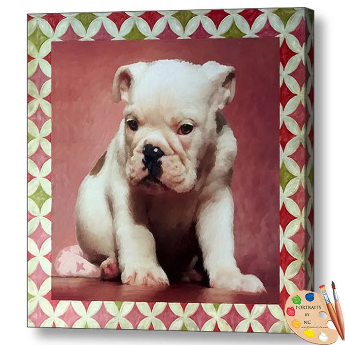 Rings Portraits by NC White Bulldog Puppy Portraits
