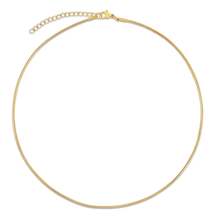 Amara Dainty Snake Chain Choker Necklace Ellie Vail Necklaces