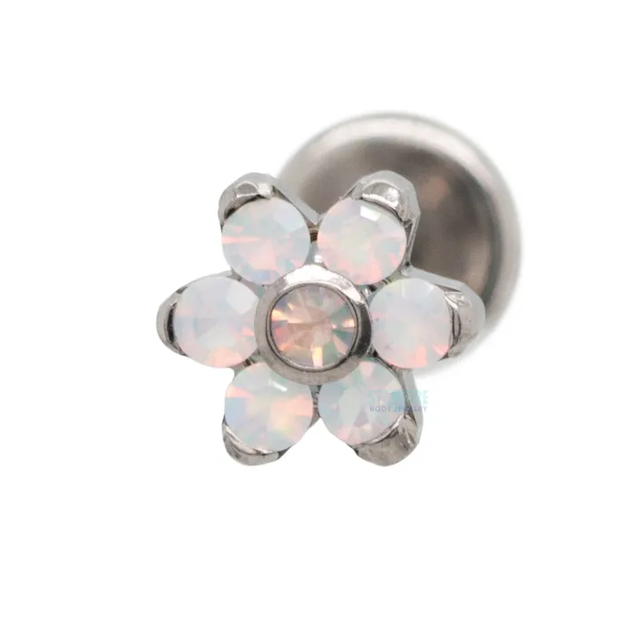 Anatometal Earrings 15mm15mm BrilliantCut Gem Flower on flatback