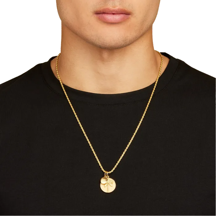 Earrings Solid Gold 14k Gold Coastline