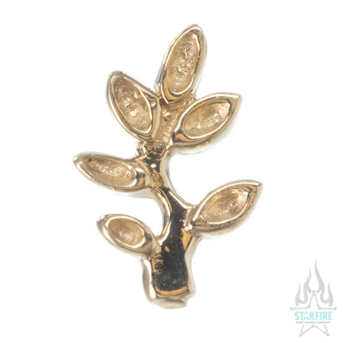 Earrings Tawapa threadless Frond Pin in Gold