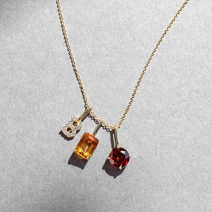 fejn PWD Necklaces birthstone necklace solid gold