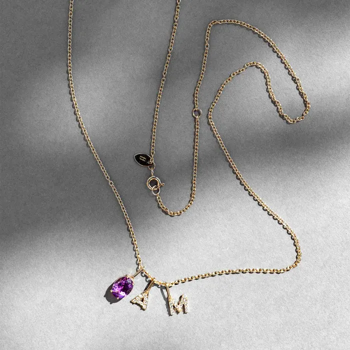fejn PWD Necklaces birthstone necklace solid gold