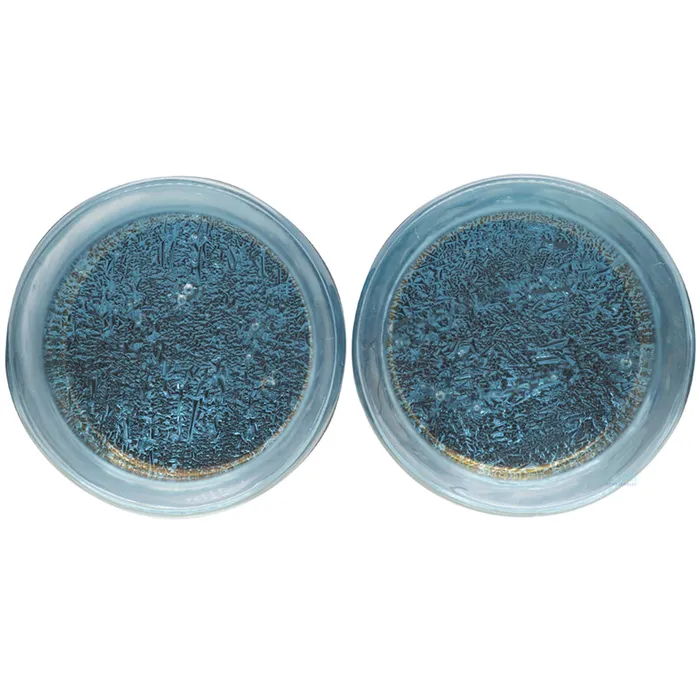Gorilla Glass Deluxe Dichroic Glass Plugs Indigo Silver Rings