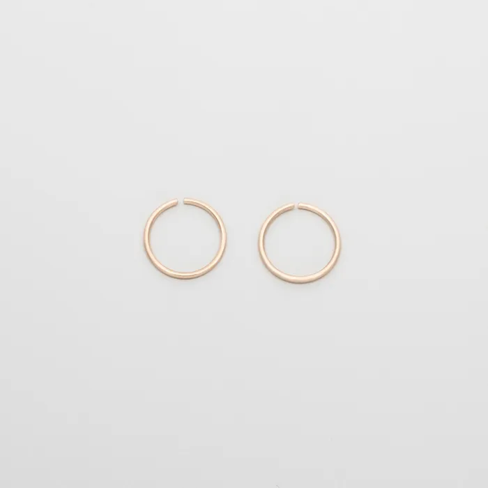satin mini hoop solid gold fejn PWD Earrings
