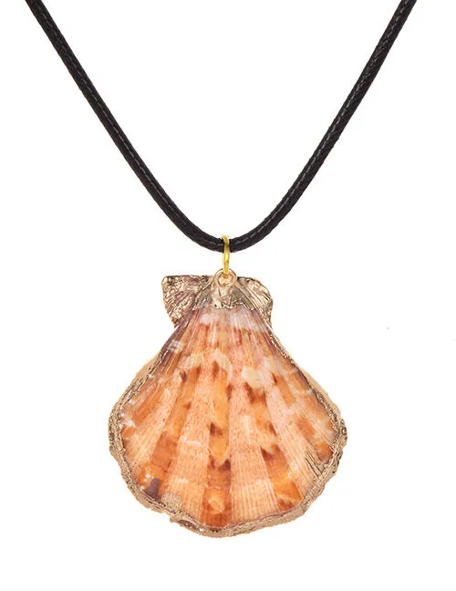 02 Necklaces N1272 Scalloped Seashell Leather Cord Necklace with FREE Earrings