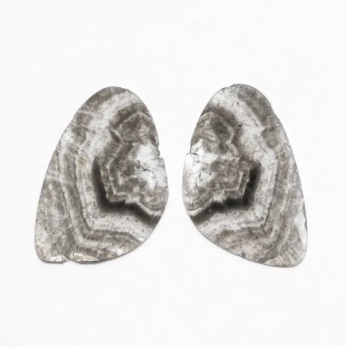 464cttw 2pc 2518x1632x051mm 2512x1562x051mm Diamond Slice Matching Pair 1926712 Misfit Diamonds Earrings 464cttw 2pc 2518x1632x051mm 2512x1562x051mm Diamond Slice Matching Pair 1926712 Misfit Diamonds Earrings