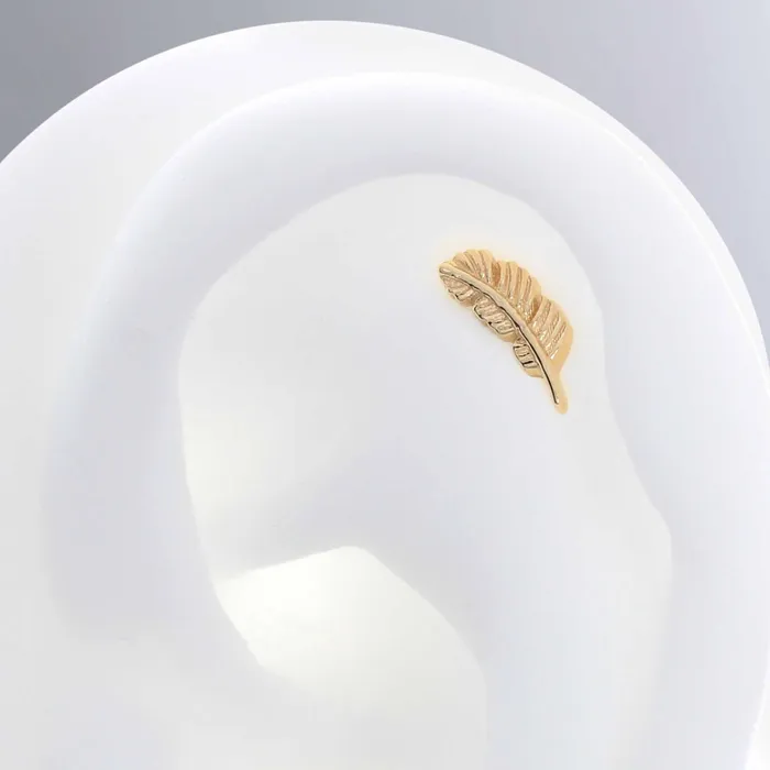 Body Vision Earrings Feather