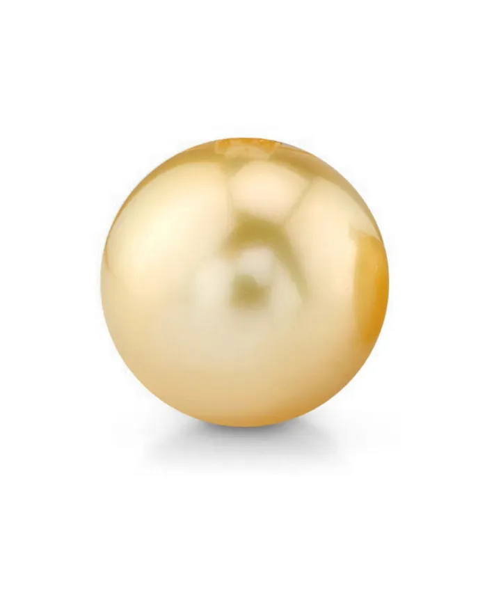 Earrings 14mm Golden South Sea Loose Pearl spt