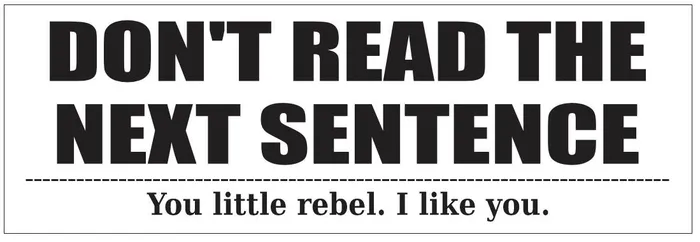 Earrings STD7258 Dont Read The Next Sentence Rebel Bumper Sticker Winter Park Products