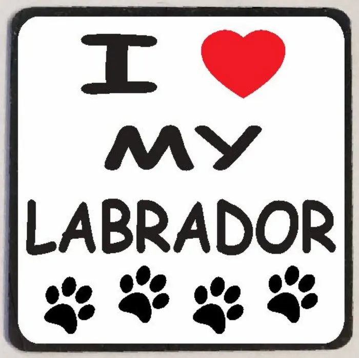 Iris Fashion Jewelry Earrings M112 I Love My Labrador