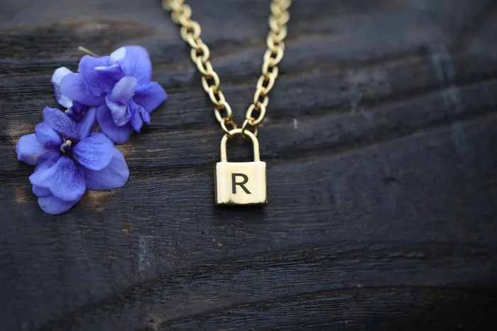 Necklaces 18K GoldFilled Padlock Choker Necklace Personalized Initial Necklace for Women Jewelvers