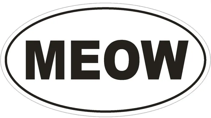 STD629 Meow Oval Bumper Sticker Winter Park Products Rings