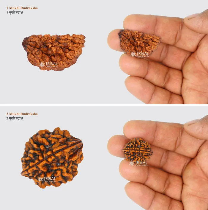 TRIBAL ORNAMENTS Necklaces 1 TO 11 Mukhi and Gorishankar and Ganesha Natural rudraksha Nepali Rudraksha kavacham best meditation beads r005 TRIBAL ORNAMENTS Necklaces 1 TO 11 Mukhi and Gorishankar and Ganesha Natural rudraksha Nepali Rudraksha kavacham best meditation beads r005