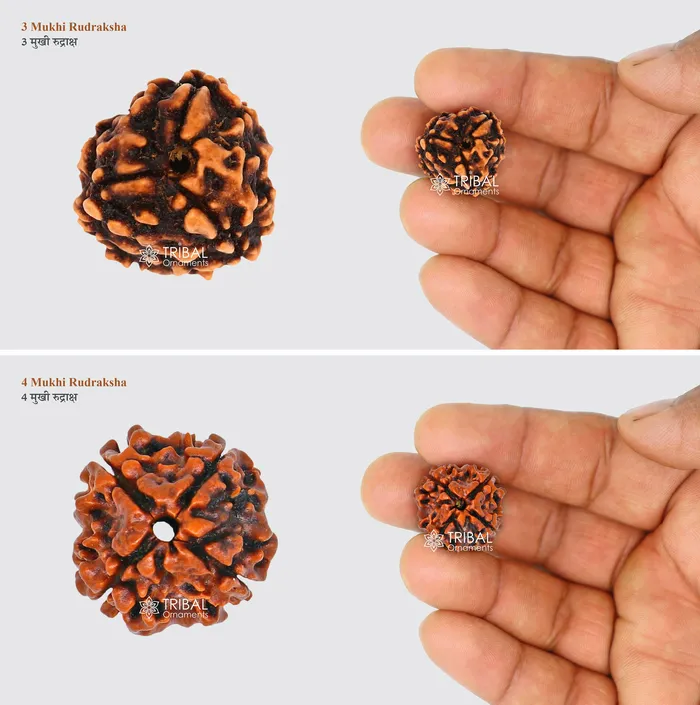 TRIBAL ORNAMENTS Necklaces 1 TO 11 Mukhi and Gorishankar and Ganesha Natural rudraksha Nepali Rudraksha kavacham best meditation beads r005 TRIBAL ORNAMENTS Necklaces 1 TO 11 Mukhi and Gorishankar and Ganesha Natural rudraksha Nepali Rudraksha kavacham best meditation beads r005