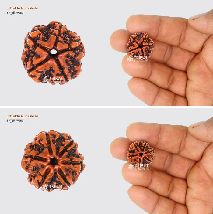TRIBAL ORNAMENTS Necklaces 1 TO 11 Mukhi and Gorishankar and Ganesha Natural rudraksha Nepali Rudraksha kavacham best meditation beads r005 TRIBAL ORNAMENTS Necklaces 1 TO 11 Mukhi and Gorishankar and Ganesha Natural rudraksha Nepali Rudraksha kavacham best meditation beads r005
