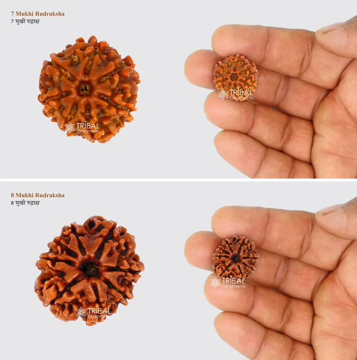 TRIBAL ORNAMENTS Necklaces 1 TO 11 Mukhi and Gorishankar and Ganesha Natural rudraksha Nepali Rudraksha kavacham best meditation beads r005 TRIBAL ORNAMENTS Necklaces 1 TO 11 Mukhi and Gorishankar and Ganesha Natural rudraksha Nepali Rudraksha kavacham best meditation beads r005
