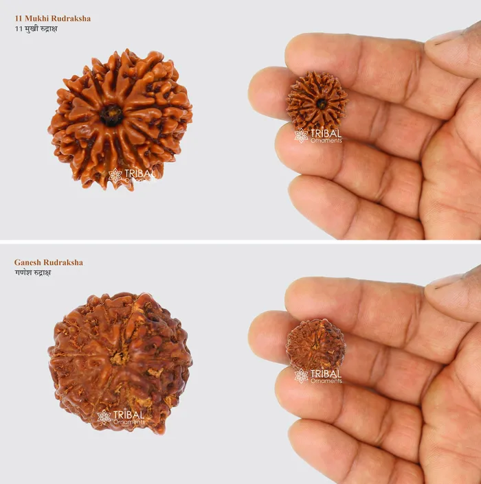 TRIBAL ORNAMENTS Necklaces 1 TO 11 Mukhi and Gorishankar and Ganesha Natural rudraksha Nepali Rudraksha kavacham best meditation beads r005 TRIBAL ORNAMENTS Necklaces 1 TO 11 Mukhi and Gorishankar and Ganesha Natural rudraksha Nepali Rudraksha kavacham best meditation beads r005