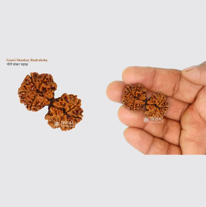 TRIBAL ORNAMENTS Necklaces 1 TO 11 Mukhi and Gorishankar and Ganesha Natural rudraksha Nepali Rudraksha kavacham best meditation beads r005 TRIBAL ORNAMENTS Necklaces 1 TO 11 Mukhi and Gorishankar and Ganesha Natural rudraksha Nepali Rudraksha kavacham best meditation beads r005