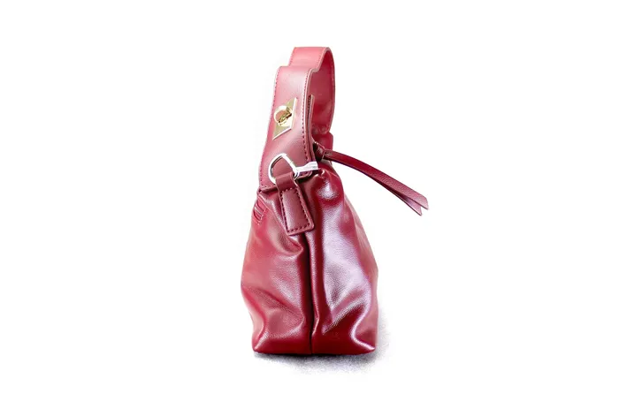 Walkeaze Earrings Women Stylish Bag 14503B Walkeaze Earrings Women Stylish Bag 14503B