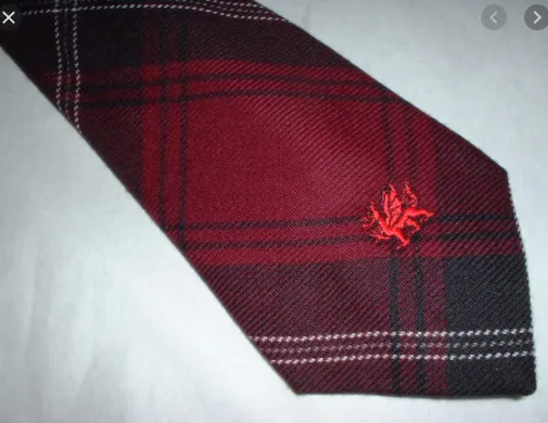 Welsh Tartan Tie Wales Tartan Centre Earrings